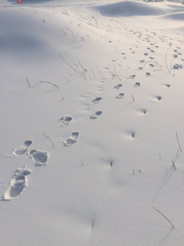 艾思沃德冰雪欢乐岛