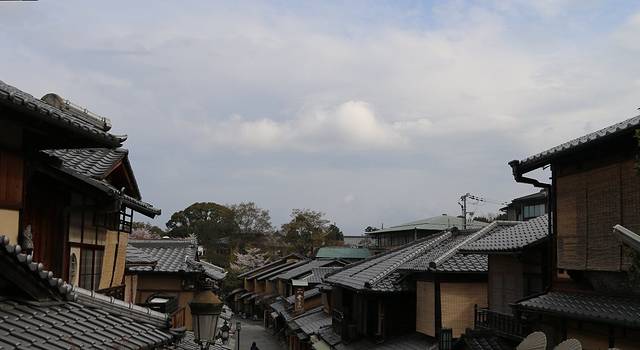 京都四月游,樱花烟雨惹人留