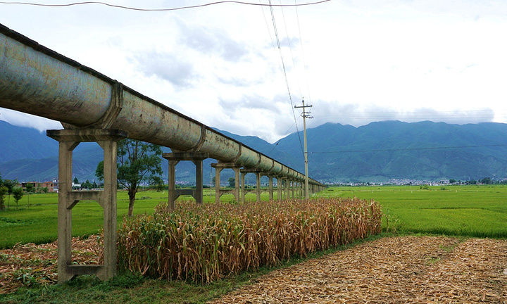 2017在海舌公园发呆时间有点久了,调转车头开