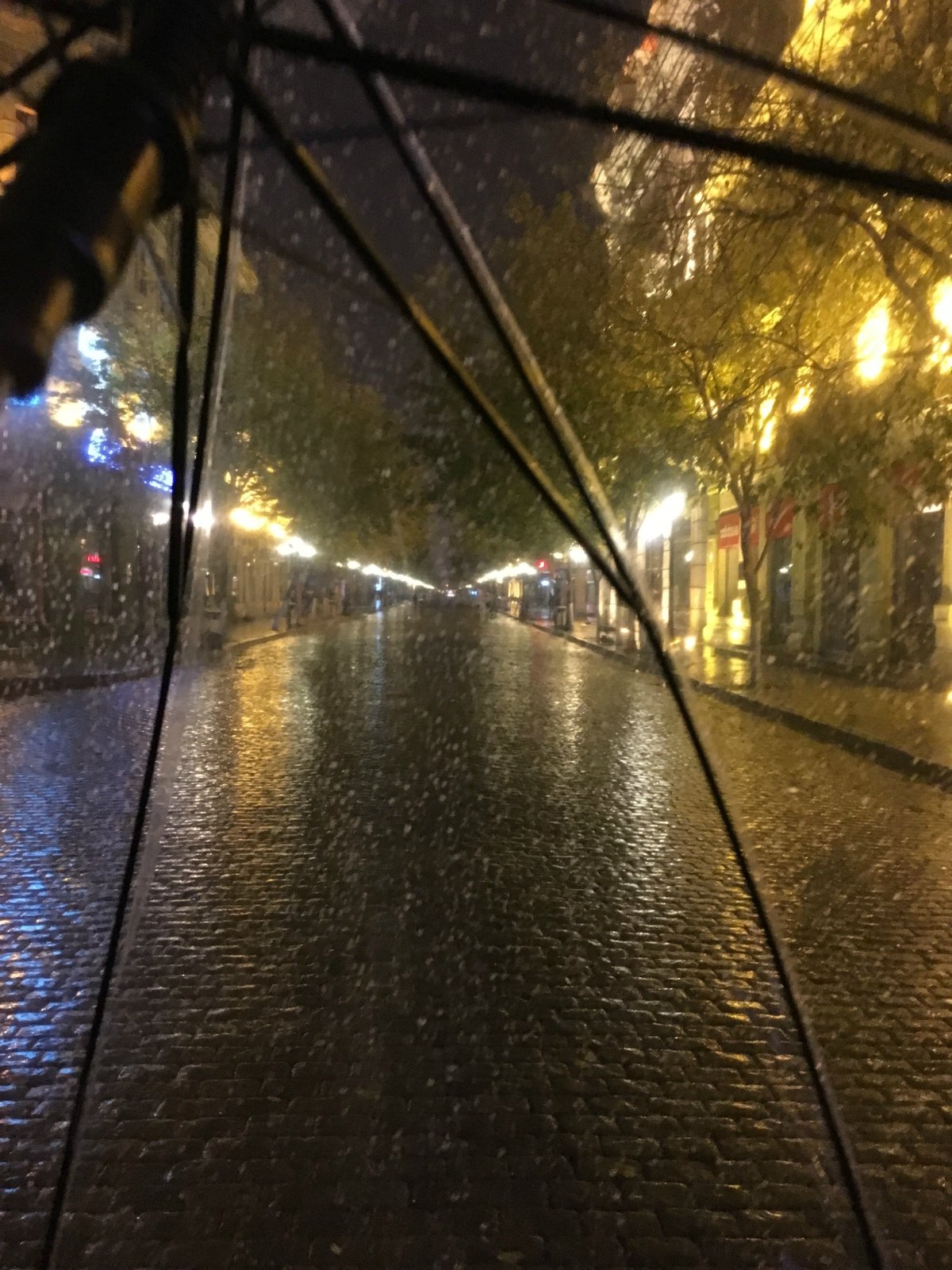 秋日暖阳,在没有雾霾的中央大街上闲逛.