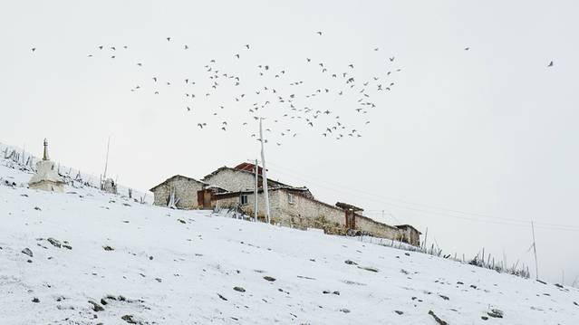 莫斯卡自然保护区