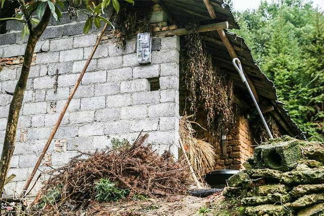 龙湾国家湿地公园