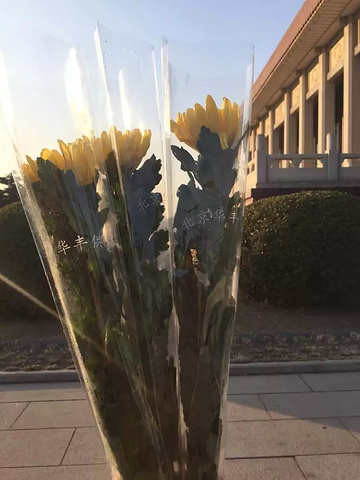 2018毛主席纪念堂只有最后一天行程开放,所以