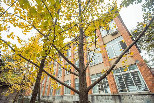 四川美术学院(黄桷坪校区)