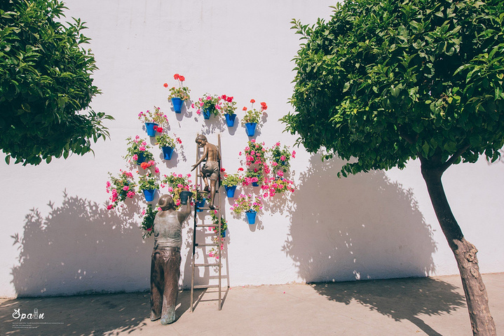 2017.定都热爱生活,都向往着平常的安宁幸福,所
