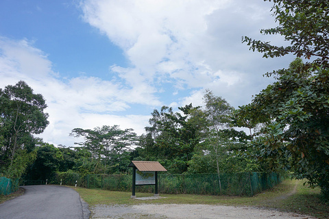 2017【新加坡旅游攻略】新加坡自助游_周边游