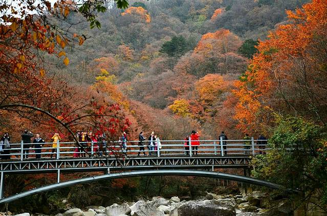 光雾山旅游景区