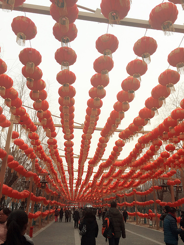 西安到洛阳近400公里… 龙门石窟,世界文化遗