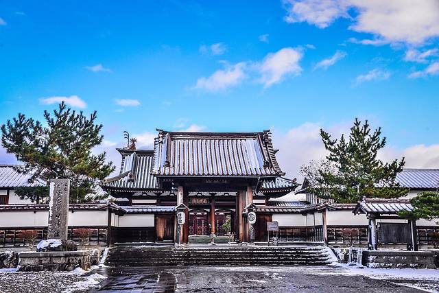 霓虹,去过的人都会想念