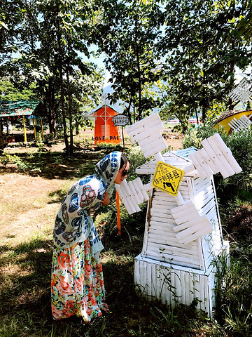 真的是说出了我的心声啊,山路真的是特别的陡