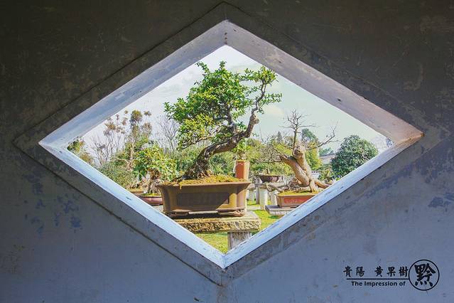 黄果树盆景园
