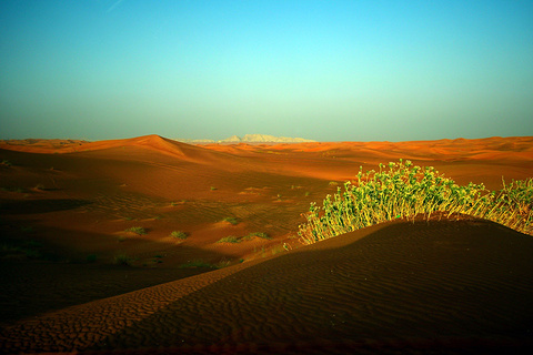 2017阿联酋阿布扎比沙漠冲沙_旅游攻略_门票