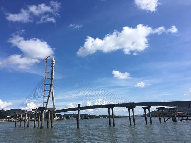 红树林