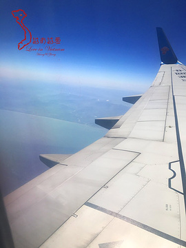 2017千万不要随意粘贴或者撕下办好的签证纸