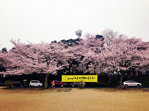 济州大学