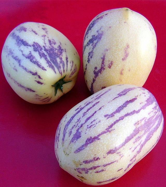 鸿港市场小吴44号水果摊