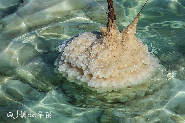 【以色列】雅法&死海,2019特拉维夫游记,特拉