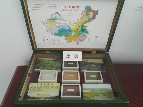 桂子山石柱林旅游景点图片