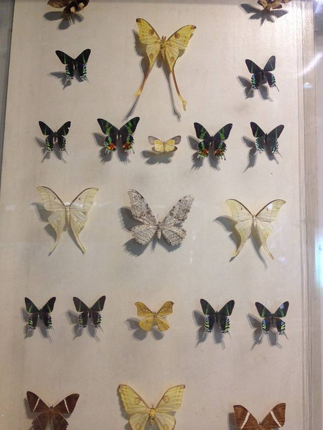 陕西自然博物馆