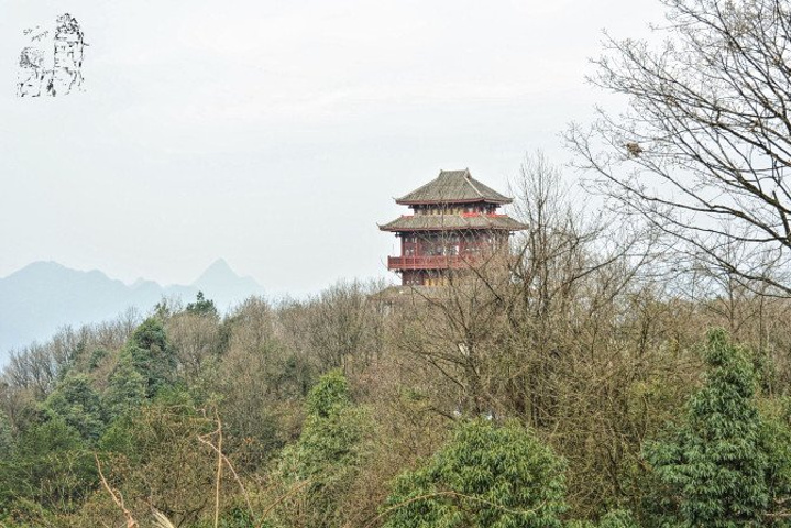 "天子山景区天子山是张家界最早开发出来的景点之一，天子山有着天下峰林“扩大的盆景，缩小的仙境”之称_张家界国家森林公园"的评论图片