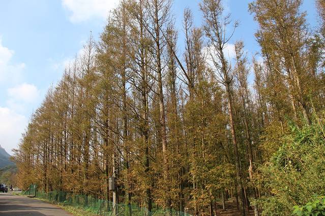 冷水坑游客服务站