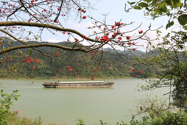 羚羊峡古栈道森林公园