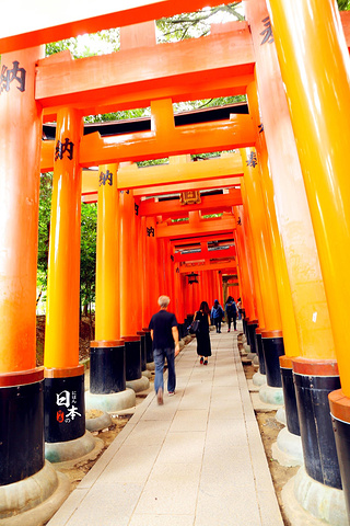 2017伏见稻荷站(京阪本线),下车步行约5分钟巴