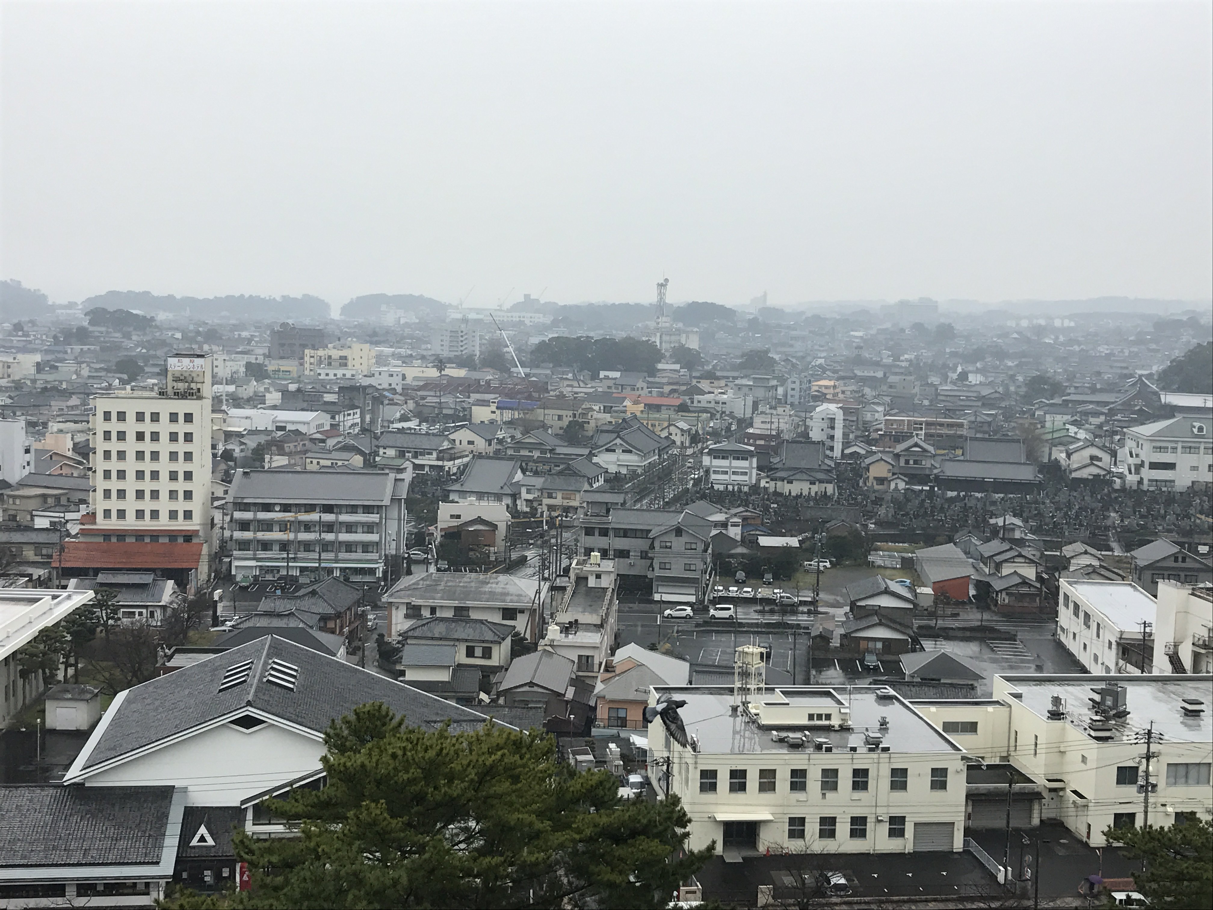 2023岛原城游玩攻略,岛原城不算非常知名，却有着...【去哪儿攻略】