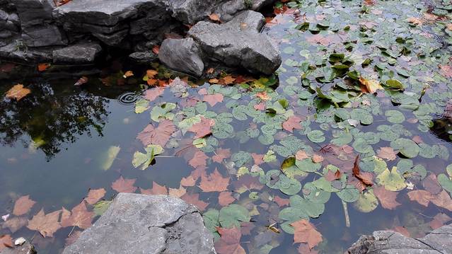 青岛太平角公园