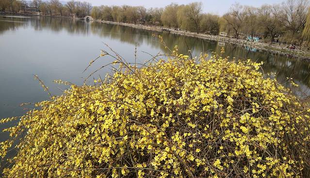 圆明园遗址公园-绮春园景区