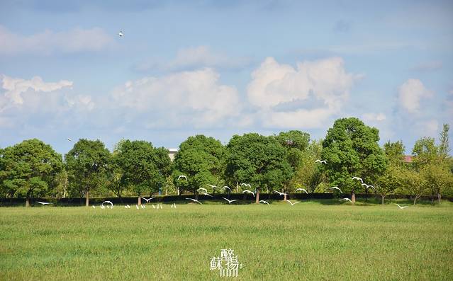 苏州阳澄湖半岛旅游度假区