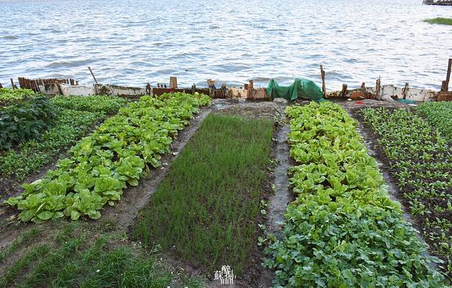 苏州阳澄湖半岛旅游度假区