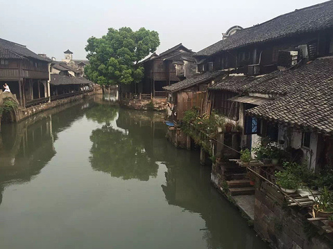 浙江乌镇旅游景点_乌镇2017年旅游收入(2)