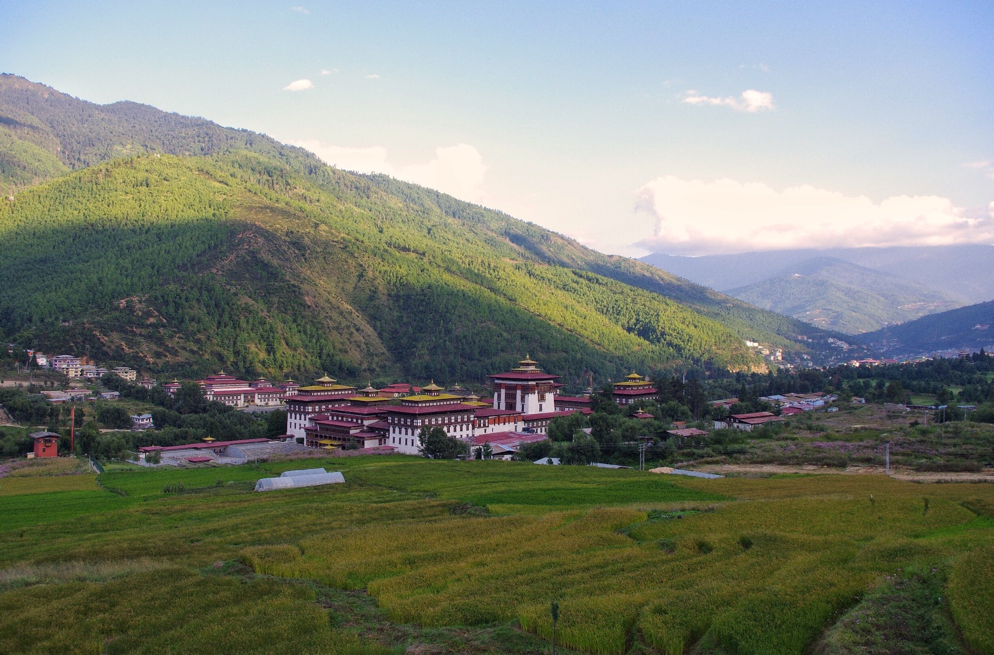 2021扎西曲宗堡游玩攻略,游客可以进去参观.看完国兽.【去哪儿攻略】