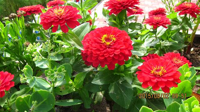 长春客运中心站