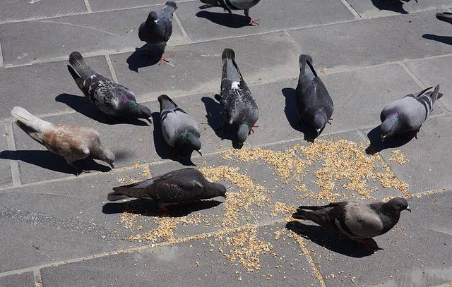 市中心购物广场