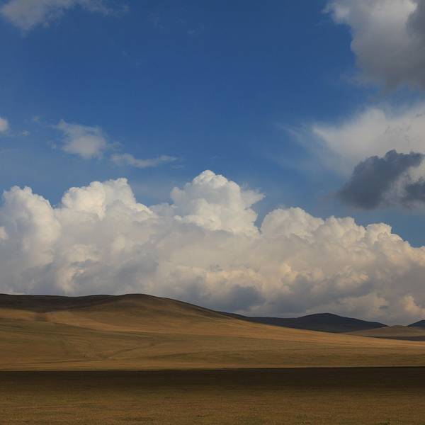 49fd0fc0e2c64b5.jpg_600x600x70_ae7e5dd7.jpg