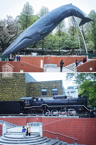 2017这一天,我们买了一张一日通地铁票,挑了几