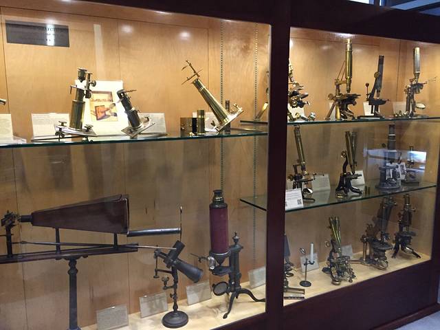 加州大学伯克利分校