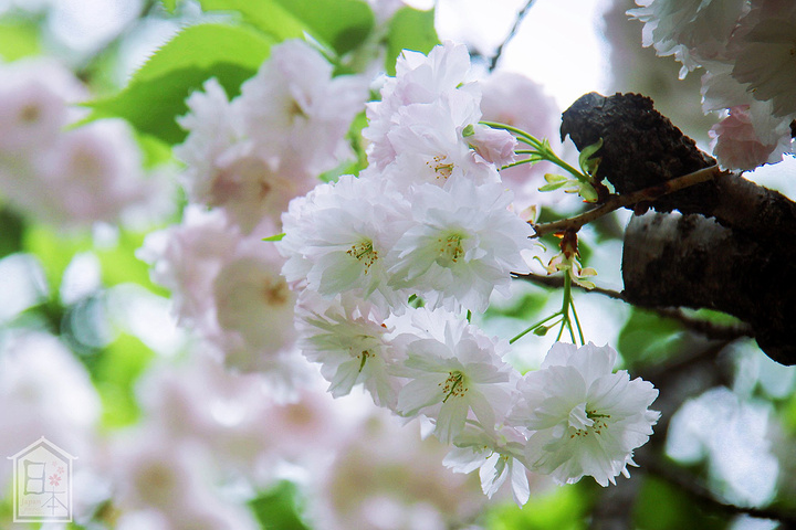 2017这一天,我们买了一张一日通地铁票,挑了几