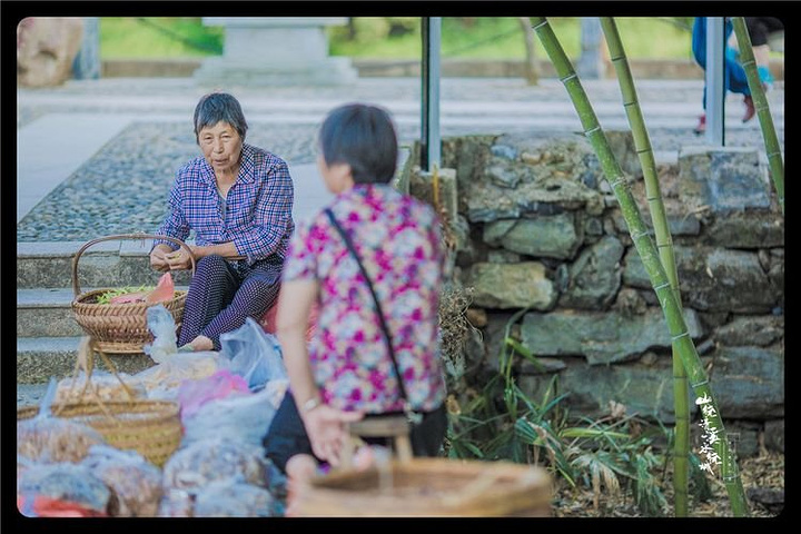 "“山村”这淳朴温暖的两个字,写在每个人淳朴的脸上,喜欢这块无喧闹世外桃源,喜欢这个美丽的山村_龙川水街"的评论图片