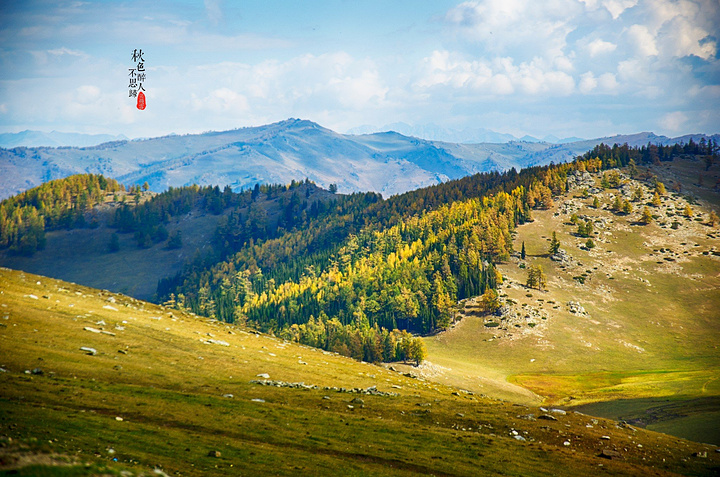 2017天上的白云像个迈腿奔跑的卡通乌龟。_贾