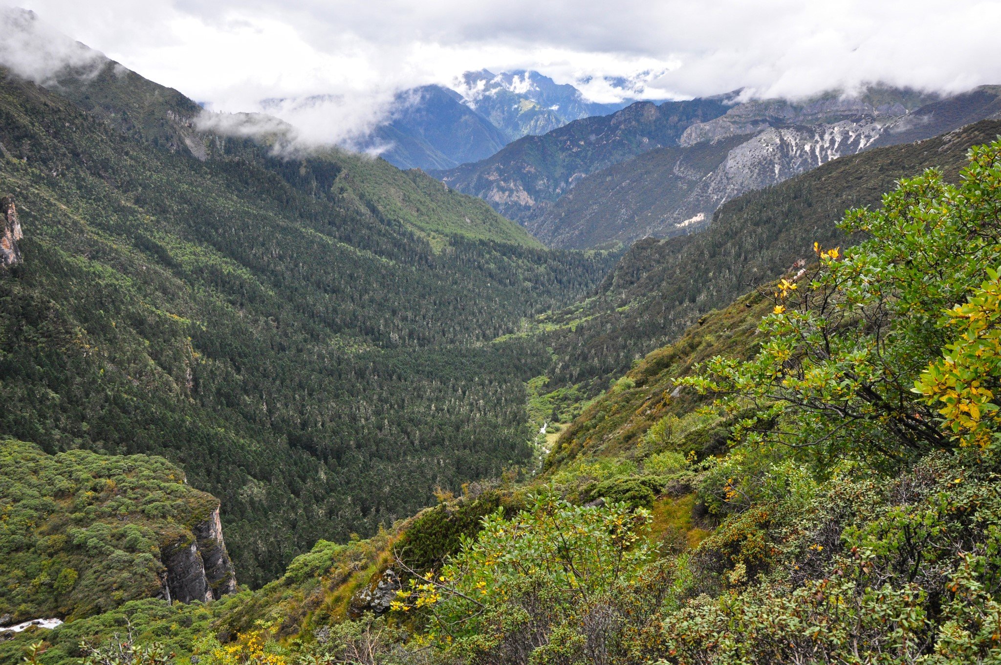 地狱谷为藏密八大寒林之一,修行者由此往生他界得以轮回.