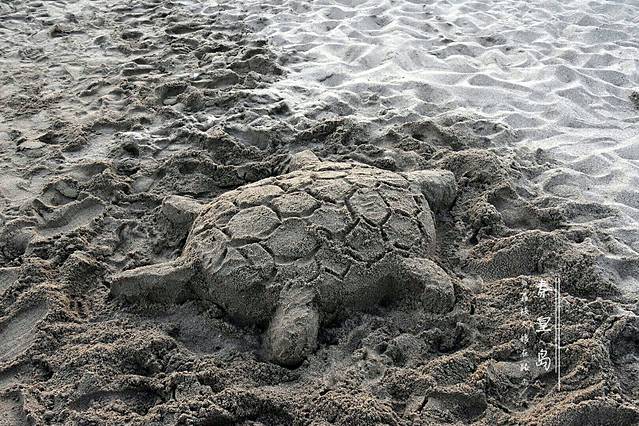 北戴河东海水浴场