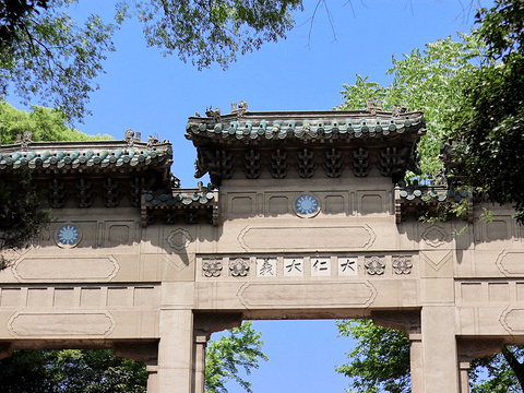 灵谷景区旅游景点图片