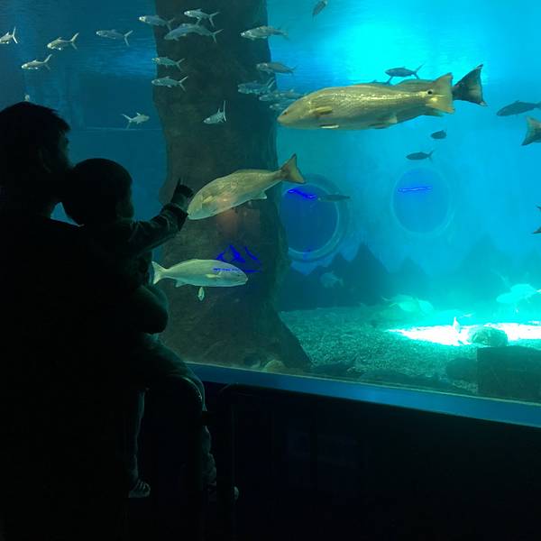 海洋公园门票 207002e6ef5260b5.jpg_600x600x70_76b23ff7.jpg