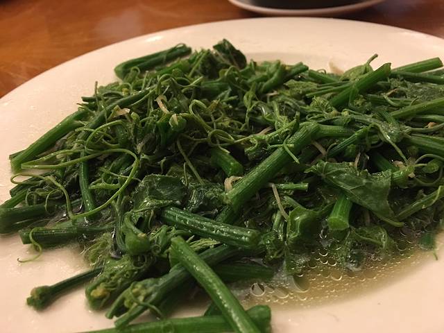 悲情城市(小上海茶饭馆)