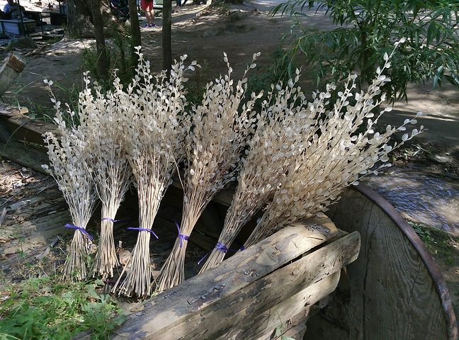 卡帕多西亚绿线