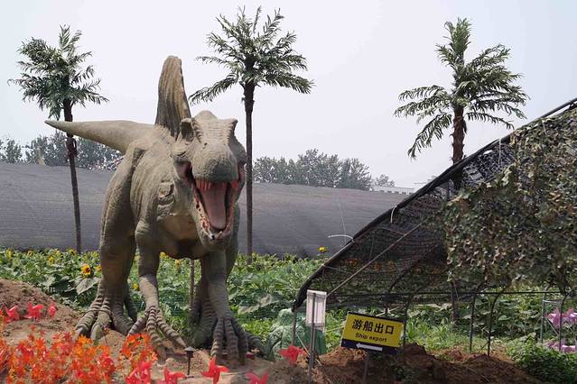 小蚂蚁薰衣草儿童庄园