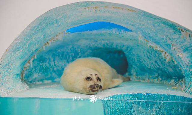 贝加尔湖博物馆